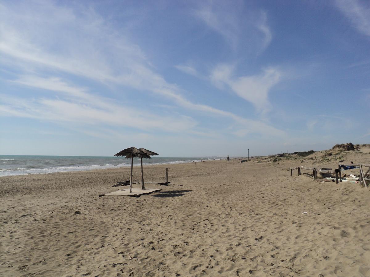 Villino Dei Coralli Lido di Ostia Eksteriør bilde